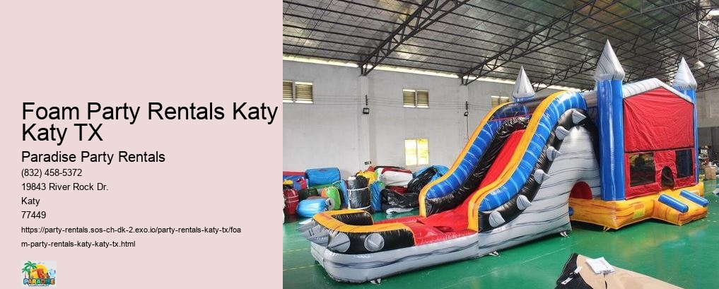 Unleash the Fun: Explore Our Party and Bounce House Rentals